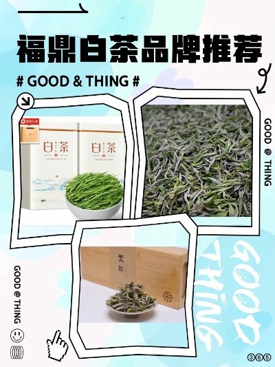 福鼎白茶加盟热门品牌一览