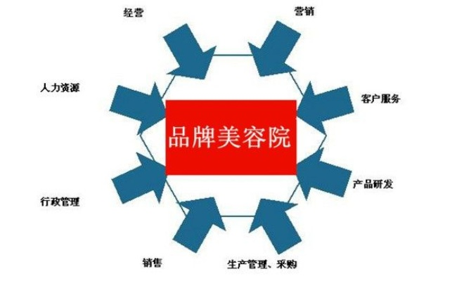 美容加盟新品牌推荐与案例分析