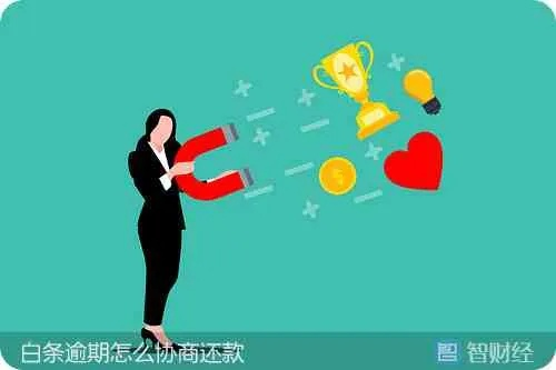 手把手教你用白条维权，如何快速找到商家并解决问题