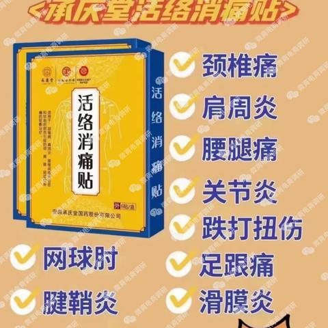 国内陶瓷品牌全解析，从老字号到新锐品牌的崛起与选择指南