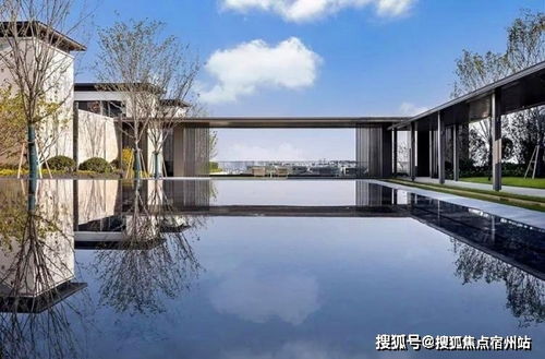 日本定制鸭绒被价格全解析，从百元到万元如何选？附避坑指南