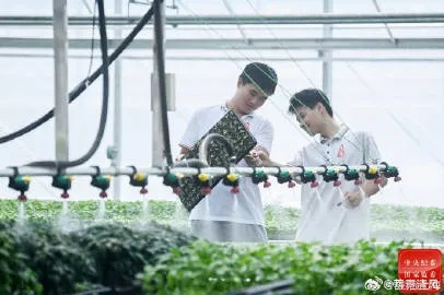 机电一体化专业如何助力乡村振兴，技术赋能、产业升级与人才振兴