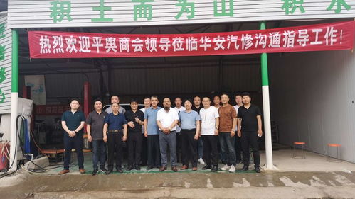 登封市白条提现全解析，操作指南、注意事项与案例分析