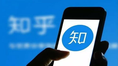 羊小咩便荔卡使用心得与探讨，是否容易套现？知乎经验分享