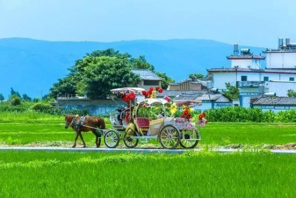 四季轮转话乡音，乡村一年十二个月的生活剧本