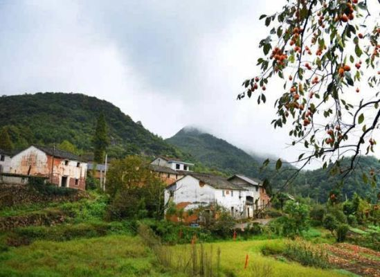四季轮转话乡音，乡村一年十二个月的生活剧本