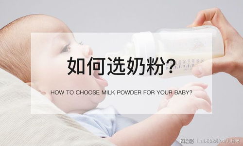母婴小鼠品牌深度解析