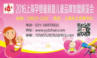 母婴小鼠品牌深度解析