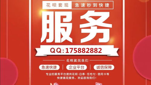 蚌埠白条找商家兑现全解析