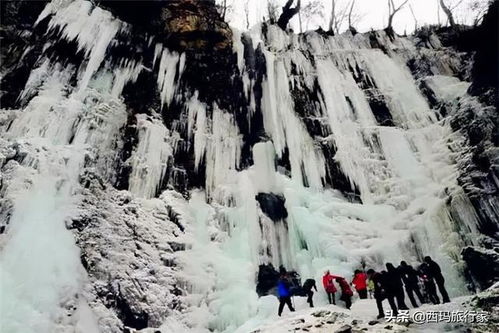 北京极地景点最新排行榜，2023必打卡的冰雪奇缘与海洋秘境