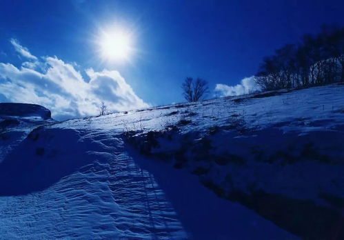 北京极地景点最新排行榜，2023必打卡的冰雪奇缘与海洋秘境
