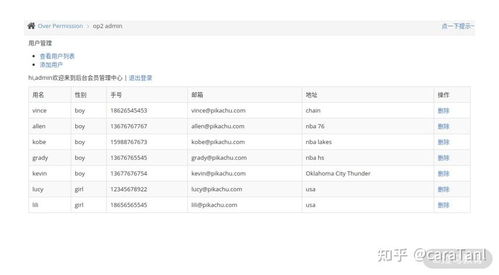 北京怎么样查酒店记录，实用方法与案例详解
