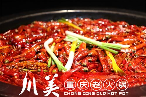 丹东老品牌鸡架加盟指南，深度解析热门品牌加盟选择