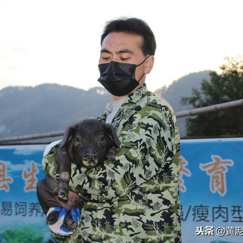河北五金品牌全解析，老字号与新势力如何抢占市场
