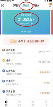 白条提现额度全解析，额度多少？如何提升？常见问题解答