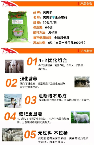 承德养牛加盟店品牌推荐