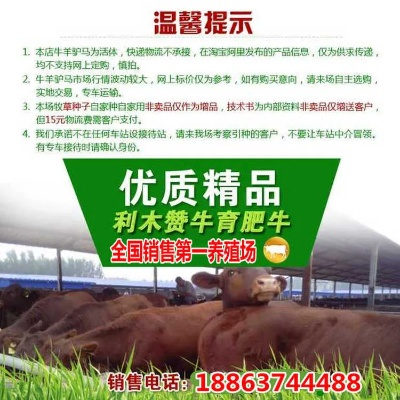 承德养牛加盟店品牌推荐