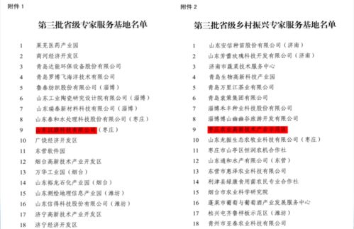 南充乡村音乐教师待遇现状调查，薪资、挑战与未来希望