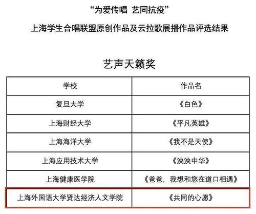 南充乡村音乐教师待遇现状调查，薪资、挑战与未来希望