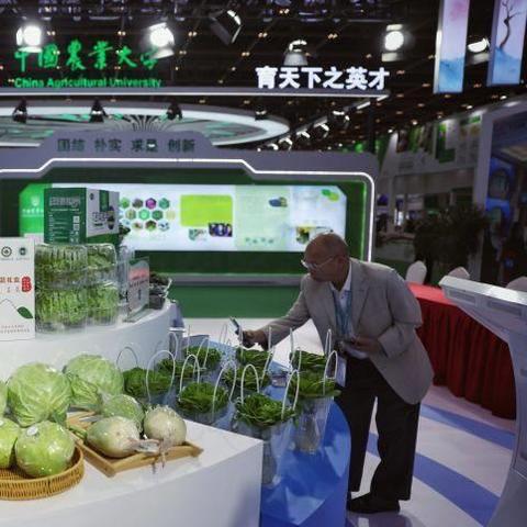 平谷免费景点全攻略，周末遛娃、拍照、野餐全搞定！这份2023最新榜单请收好！