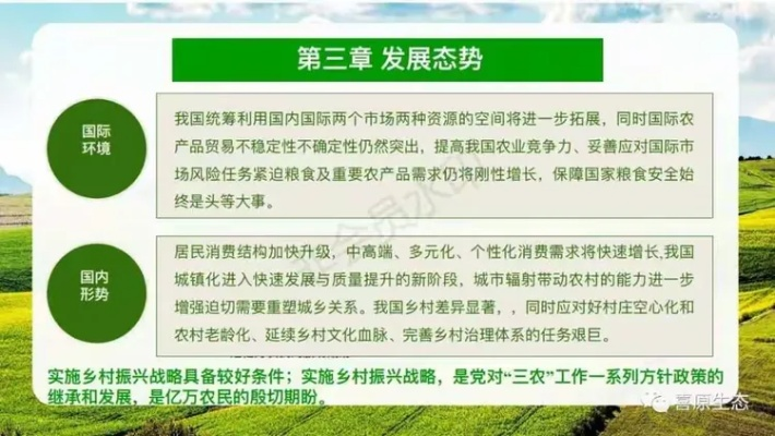 乡村振兴战略规划，从规划到落地的实用指南