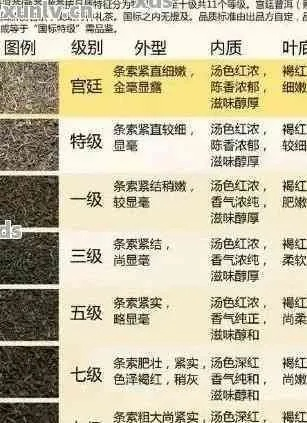 六堡茶选购全攻略，如何辨别优质品牌？这份指南帮你避坑