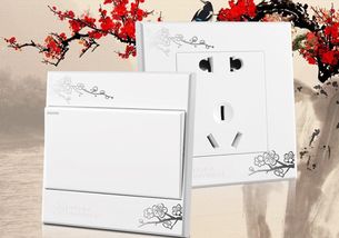 装修插座品牌排行榜