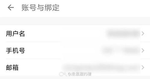 揭秘聊天记录盗取手段，如何保护你的隐私安全