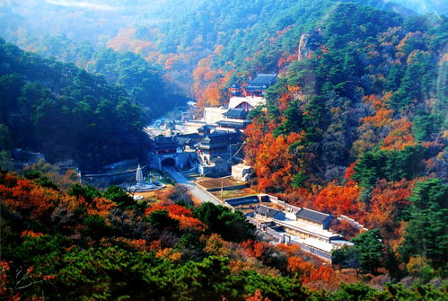 北川景点大全排行榜2023最新整理！这些地方你去过几个？