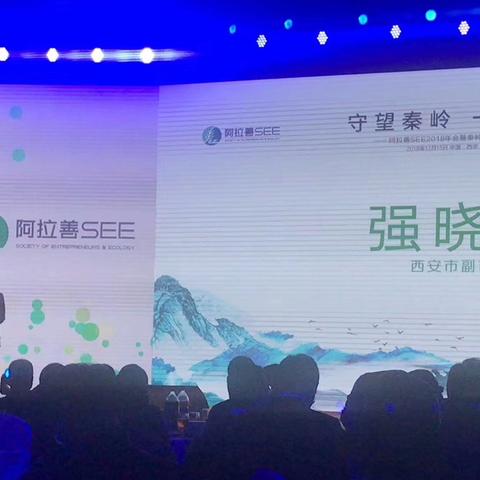 捐钱广告网站，公益与商业结合的新模式