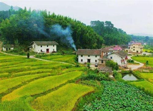 从刀耕火种到乡村振兴，中国乡村的千年进化之路