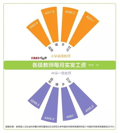 蒙阴县乡村教师待遇现状调查，从工资到职业发展的全景解析