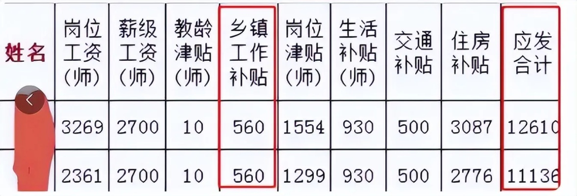 蒙阴县乡村教师待遇现状调查，从工资到职业发展的全景解析