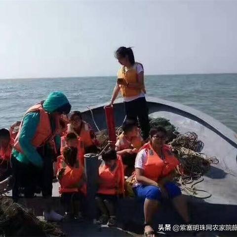 辽宁品牌茶加盟店推荐及案例分析
