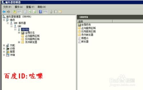 怎么查丽枫酒店入住记录—详细步骤与案例解析