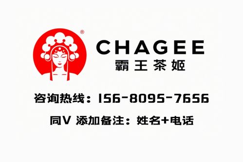 热招团购加盟品牌大揭秘好品牌一网打尽！
