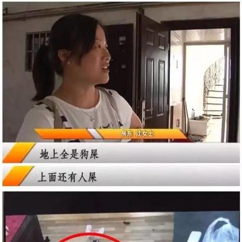 手把手教你查开房间记录，从操作步骤到常见问题全解析