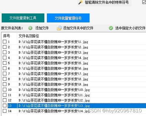 服务器端物理文件名，如何管理你的数字资产？