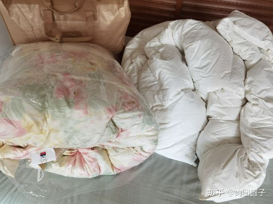 白鸭绒被批发价格全解析，从几元到千元如何选？附避坑指南和真实案例
