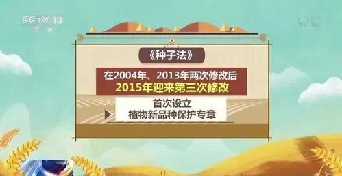 从一粒种子到生命守护—揭秘医药品牌的成长之路