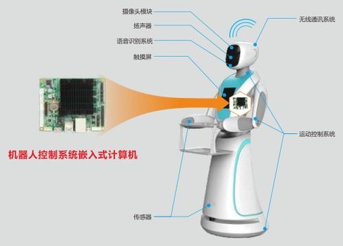 从一粒种子到生命守护—揭秘医药品牌的成长之路