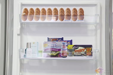 国外冰箱二级能效，省电省钱还省空间？三大品牌实测对比