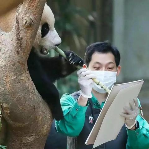 手把手教你如何在熊猫直播找到超管，从入门到精通的实战指南