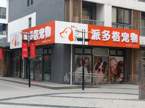 龙岩烧烤店加盟品牌推荐及案例分析