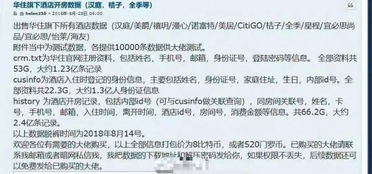 宾馆开房记录查询指南