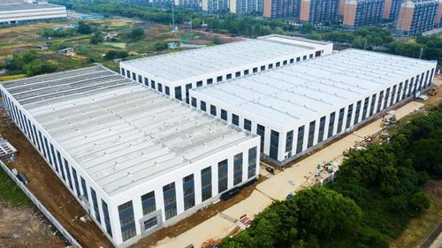 中国白酒江湖的六边形战士，这些品牌为何被行业公认为标杆？