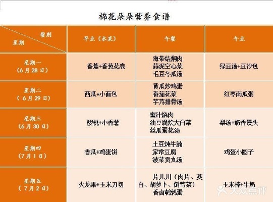 棉花朵朵早教加盟费