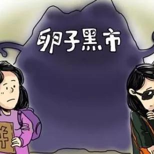 网站挂广告的暴利密码，从零开始月入过万的实操指南