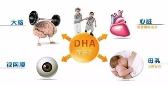母婴品牌DHA，为宝宝的大脑和视力成长保驾护航