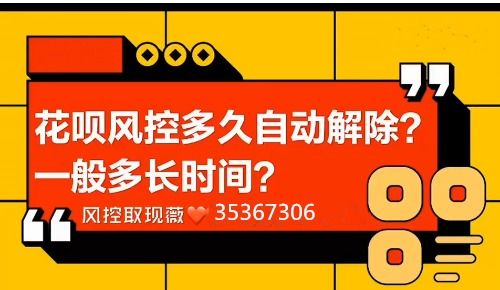 车主京东白条套出攻略，号码问题与实用指南